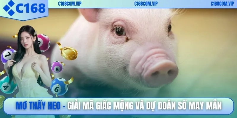 Mơ thấy heo